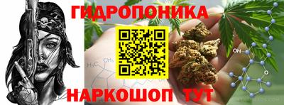 крисы Нягань
