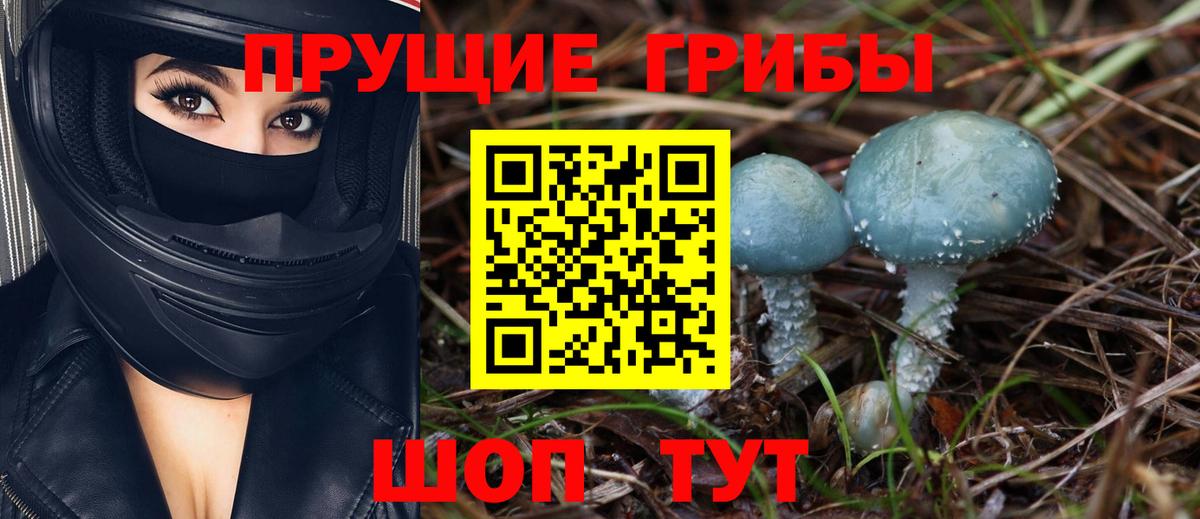 Псилоцибиновые грибы GOLDEN TEACHER  Псилоцибиновые грибы Psilocybe  Вход с VPN  Сальск 